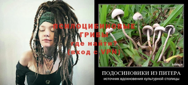 гидропоника Арсеньев
